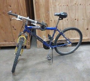 Schwinn bicycle