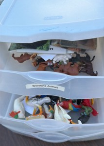 animals