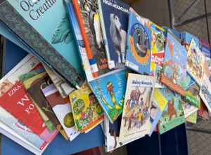 tote of books  (80)