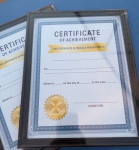 certificate of achievements in frames (45)