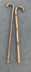 canes