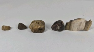 Mixed Stone and Petrified Wood Lot