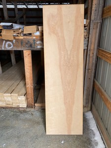 door slab