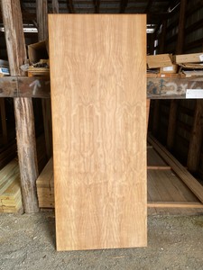 door slab