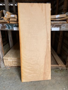 door slab #10