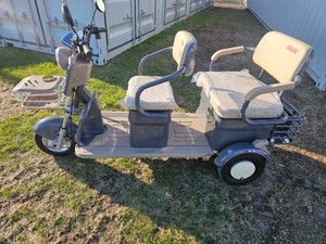 IRGC40 MINI GOLF CART