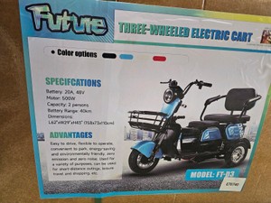 2026 Unused FUTURE Electric tricycle FT-D3