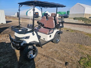 SDLGC80 GOLF CART 4 Seater