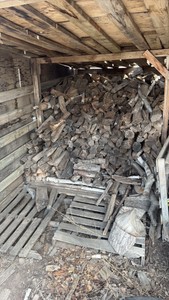Firewood