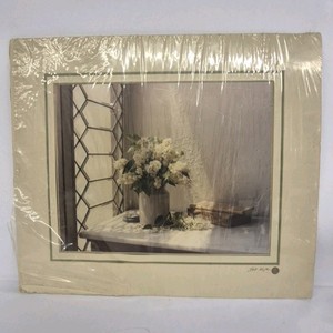 Art Gore Signed Photograph Floral Still Life Interior Framed Print Colorado