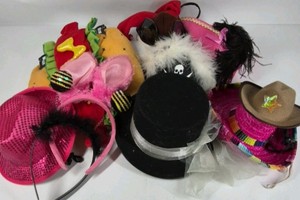 Pet Costumes Lot Dog Cat Hot Dog Outfit Hats Accessories Mixed Bundle