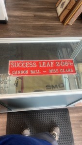 success leaf 2:06 2/5 cannon ball - miss clara metal sign