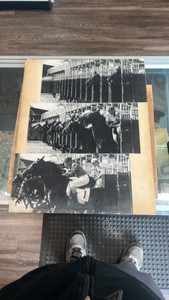 1950s horse racing photographs set