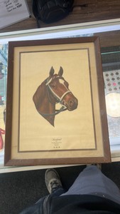 1973 secretariat lithograph