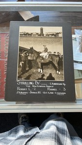 1938 strolling by horse racing photograph