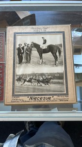 1946 niecesue horse racing photograph