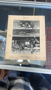 1951 yaho-di horse racing photograph