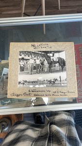 1955 tiger cat horse racing photograph