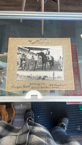 1955 tiger cat horse racing photograph