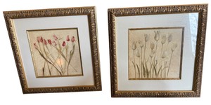 Pair of Framed Tulip Flower Prints