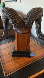Decorative Ram Horn Sculpture