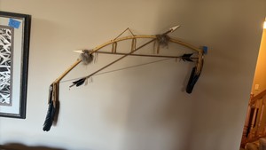 Bow and arrows