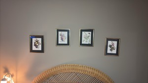 (4) botanical prints by Jean Louis Prevost, 11x9