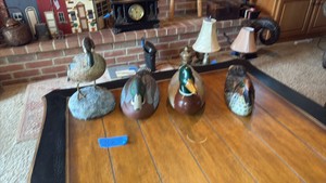 (4) ducks, 1 is taxidermy