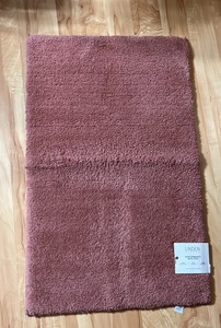 Plush Bath Rug in Savanah Clay Color - 21x34 - Retail $30