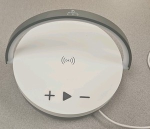 Swiss cougar Bluetooth player with light (R214)