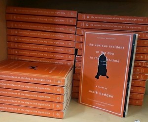 the Curious incident of the dog in the night time  (r212)