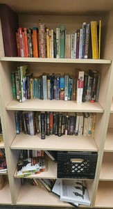shelf of books bookshelf not included  (r210)