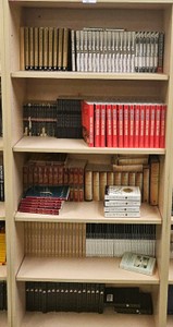 shelf of books bookcase not included  (r210)