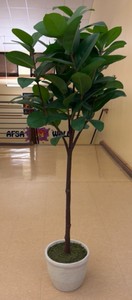 decorative tree  (r202)