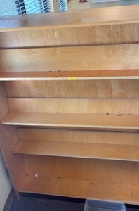 shelf (R217)