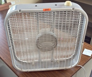 lasko fan (R217)