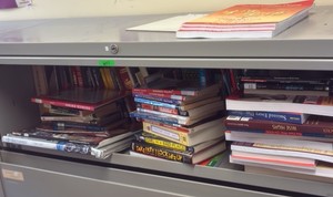 shelf of miscellaneous books   (r211)