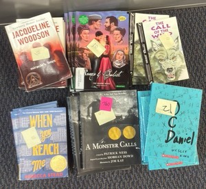 books  (r211)