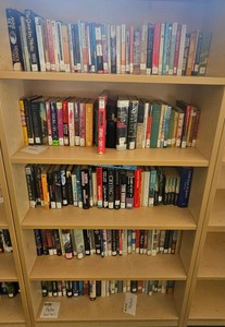 shelf of books  (r203)