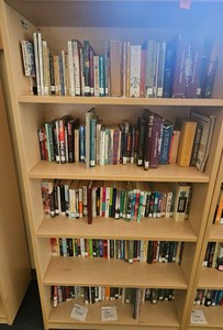shelf of books  (r203)