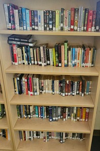 shelf of books  (r203)