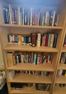 shelf of books  (r203)