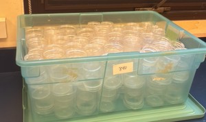 plastic jars (r134)