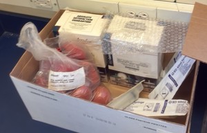 science miscellaneous (r134)