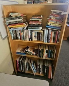 books on shelf bookcase not included  (r203)
