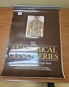anatomical flip chart (R127)