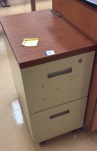 filing cabinet (R132)