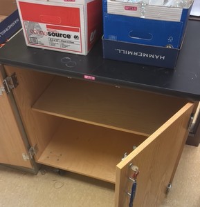 cabinet on wheels (R134.5)
