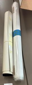 human skeleton and muscle R130 posters