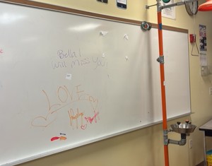 Whiteboard(R130)